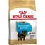 Сухий корм Royal Canin Yorkshire Terrier Puppy для цуценят з м'ясом птиці та рисом 0.5 кг - мініатюра 1