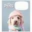 Зошит загальний Школярик Cute pets у лінію 18 аркушів 25 шт. (018-3253L) - мініатюра 1