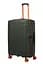Валіза 75 См Samsonite PRODIVER HS CLIMBING IVY 75x51x32(35) KU7*24004 - мініатюра 10