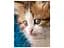 Альбом UFO PP-46200 Cat photo 10x15x200см (PP-46200 Cat photo) - мініатюра 4