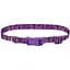 Нашийник для собак Coastal Pet Attire Style 2см x 35-50см (06621_PAP20) - мініатюра 1