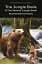 The Jungle Book & The Second Jungle Book - миниатюра 1