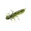 Силікон FishUP Dragonfly 1.7" #042 Watermelon Seed (8 шт/уп) - мініатюра 1