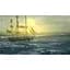 Ключ активації Microsoft Under the Jolly Roger Complete Edition для Xbox One/Series - мініатюра 4