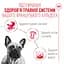 Набір вологого корму Royal Canin French Bulldog Loaf для собак породи французький бульдог 1.02 кг (12 шт. х 85 г) - мініатюра 3