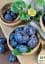 Саджанець Agro-Market Слива Кабардинка (осінній сорт, пізній термін дозрівання) 1 шт. в упаковці (36530) - мініатюра 2