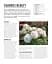 Grow Roses. Essential Know-how and Expert Advice for Gardening Success - мініатюра 12
