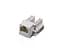 Модуль Kingda UTP RJ12 KeyStone - миниатюра 1