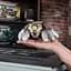 М'яка іграшка Tomy Warhammer Necron Scarab (125125) - мініатюра 3