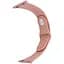 Ремінець Apple Watch Silicone 38/40/41 мм Begonia S - мініатюра 1
