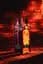 Віскі Paul John Brilliance Single Malt Indian Whisky 46% 0.7 л у подарунковій упаковці - мініатюра 2
