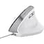 Миша Trust Bayo II Ergonomic USB White (25397) [115601] - мініатюра 2