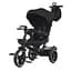 Велосипед El Camino ME 1162 VECTOR Black 3 кол. PU(12/10) оберт.сид.,гальма, скл.кермо, USB/BT, світло, сумка, чорний (6903317634606) - мініатюра 1