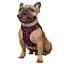 Шлея для собак Bronzedog Sport Vest Леопард L 26х20х3 см розовая - миниатюра 3