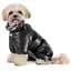 Комбинезон для собак Pet Fashion Indigo S черный - миниатюра 4