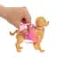 Ігровий набір Barbie Family and friends Прогулянка з песиком (JJB46) - мініатюра 4