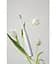Электрическая зубная щетка Oclean Air 2 Electric Toothbrush White - миниатюра 4