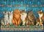 Пазл Castorland puzzle Благородные кошки, 500 эл. (B-53469) - миниатюра 2