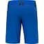 Шорты Salewa Agner Dst M Shorts S Синий (1054-013.012.0402) - миниатюра 2