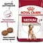 Сухий корм для старіючих собак Royal Canin Medium Adult 7+, 4 кг (3005040) - мініатюра 4