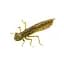 Силикон FishUP Dragonfly 1.2" #074 Green Pumpkin Seed (10 шт/уп) - миниатюра 1