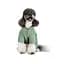 Костюм Richi L Pet Fashion для собак - миниатюра 4