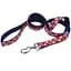 Coastal Pet Attire Ribbon Повідець для собак 2.5см х 1.8м (61976_RWP06) - мініатюра 1