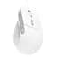 Мишка Trust Bayo II Ergonomic USB White (25397) - мініатюра 1