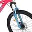 Велосипед "BELLE" PROF1 G26BELLE A26.1 26 д. Алюм.рама 17 ", SHIMANO 21SP, алюм.DB, FW TZ500, малиново-білий - мініатюра 3