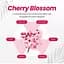 Шампунь для волос Kundal Honey & Macadamia Cherry Blossom с ароматом цветущей вишни безсульфатный 500 мл - миниатюра 5