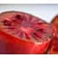 Саженец Agro-Market Актинидия Кинс Ред (мини-киви, морозостойкий сорт) 1 саженец (43947) - миниатюра 2