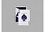 Карты игральные United States Playing Card Company Pythagoras (ВР_КИП) - миниатюра 10