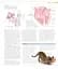 The Cat Encyclopedia - мініатюра 9
