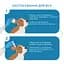 Капли глазные и ушные Ципростоп Modes для животных, суспензия 10 мл - миниатюра 10
