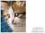Альбом UFO PP-46200 Cat photo 10x15x200см (PP-46200 Cat photo) - мініатюра 5