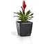Вазон Plastkon Quadrato Flower Lover 34x34x32 см антрацит - миниатюра 3