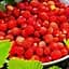 Саженец Agro-Market Земляника садовая Лесная сказка ремонтантный высокоурожайный сорт 1 саженец (101904) - миниатюра 1