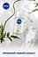 Дезодорант Nivea Свіжа чистота 50 мл - мініатюра 3
