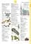 Illustrated English Dictionary (updated edition) - мініатюра 5
