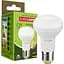 Светодиодная лампа Eurolamp LED Ecological Series, R63, 9W, E27, 3000K (LED-R63-09272(P)) - миниатюра 1