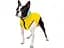 Курточка для тварин Collar AiryVest "Colors of freedom" XS 25 (4440-4020) - мініатюра 4