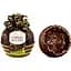 Цукерка Ferrero Rocher Grand Dark 125 г - мініатюра 2