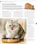 The Cat Encyclopedia - мініатюра 22