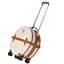 Валіза Semi Line 20" (S) Ecru/Brown (T5670-2) - мініатюра 3