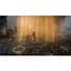 Ключ активации Microsoft Rise of the Tomb Raider: 20 Year Celebration для Xbox One/Series - миниатюра 4