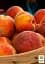 Саженец Agro-Market Персик Валиант (летний сорт, средний срок созревания) 1 шт. в упаковке (36764) - миниатюра 2