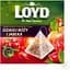 Чай фруктовый Loyd Rosehip&Apple, шиповник и яблоко, в пирамидках, 40 г - миниатюра 1