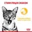 Вологий корм для дорослих котів Royal Canin Sensory Taste Gravy, шматочки в соусі, 85 г - мініатюра 3