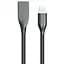 Кабель PowerPlant USB - Lightning, 2м, силикон, черный - миниатюра 1
