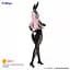 Фигурка FuRyu BiCute Bunnies Виртуальная певица Супер Сонико  Super Sonico Costume Swallowtail 30 см F BB SS 3 - миниатюра 4